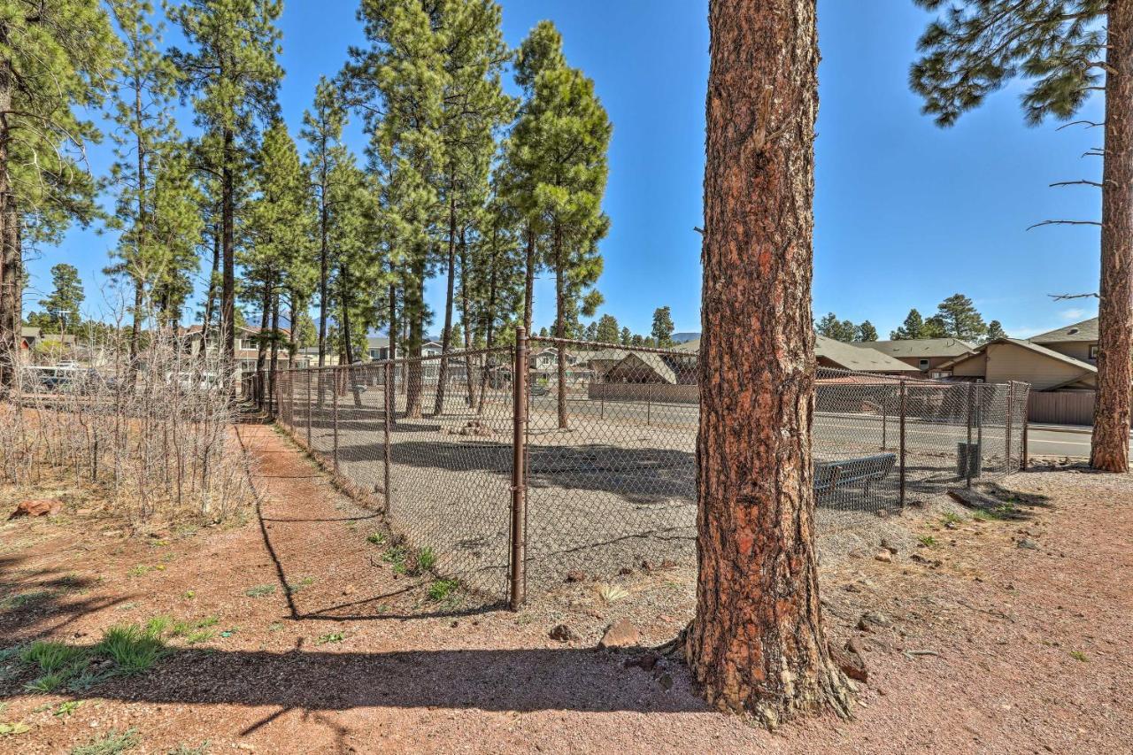 Modern Flagstaff Home, 4 Mi To Downtown! Екстериор снимка
